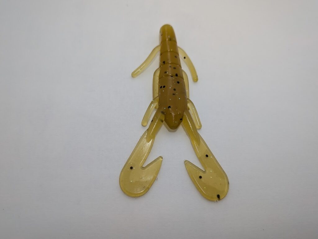 pxl 20260116 174736509.macro focus